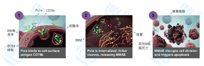 高博医学阿特蒙肿瘤中心