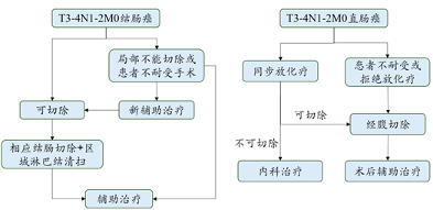 阿特蒙李进教授：读懂结直肠癌TNM分期及对应的治疗方案